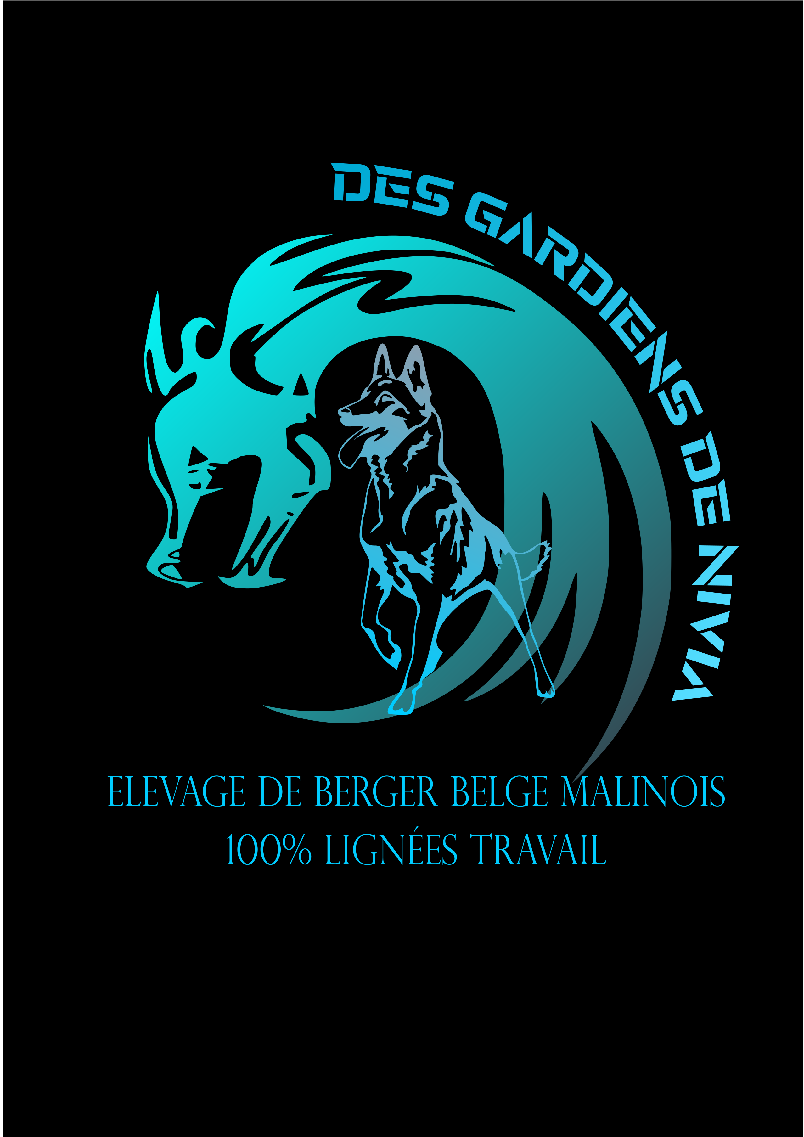 Des Gardiens De Nivia